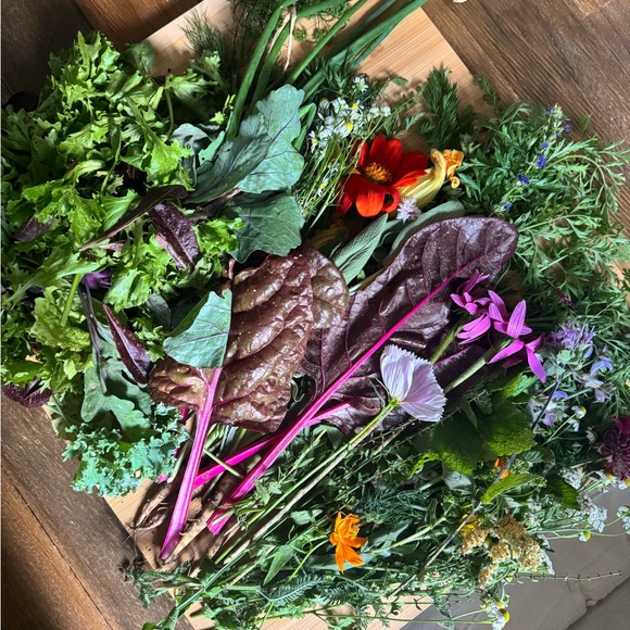 Meet your Posher, Jordan - Picture 3 of 6